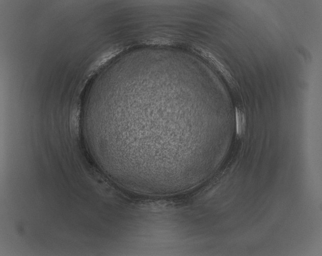 X0000116630675200912241813