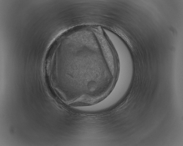 X0000116630676200912241813