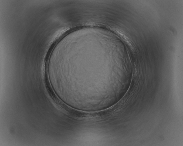 X0000116630678200912241813