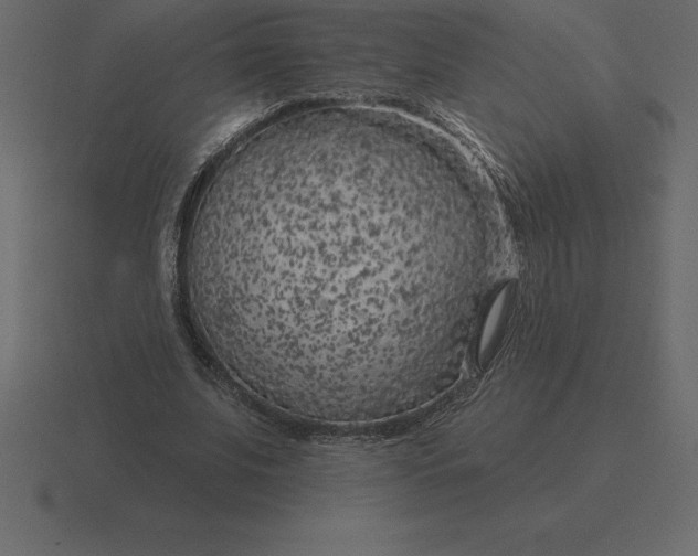 X0000116630679200912241813