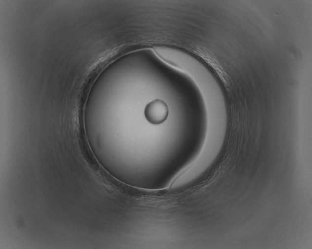 X0000116630681200912241813