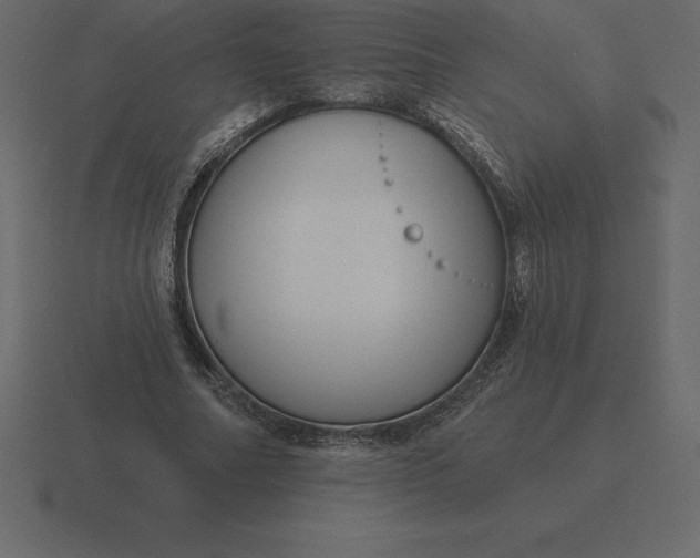 X0000116630682200912241813