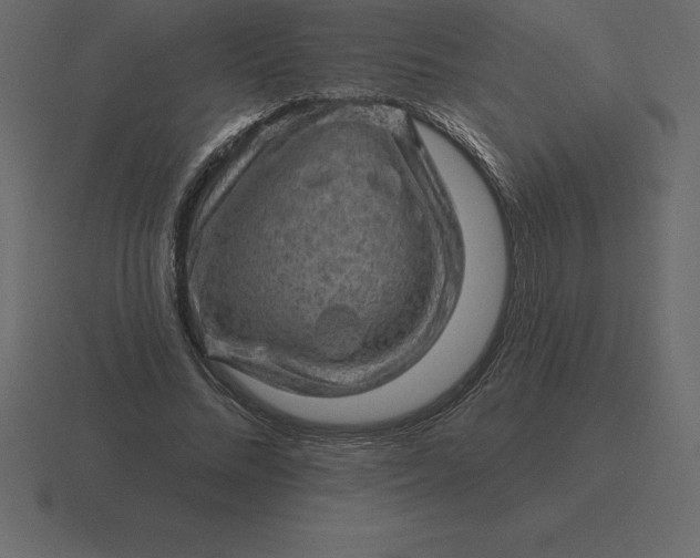 X0000116630684200912241813