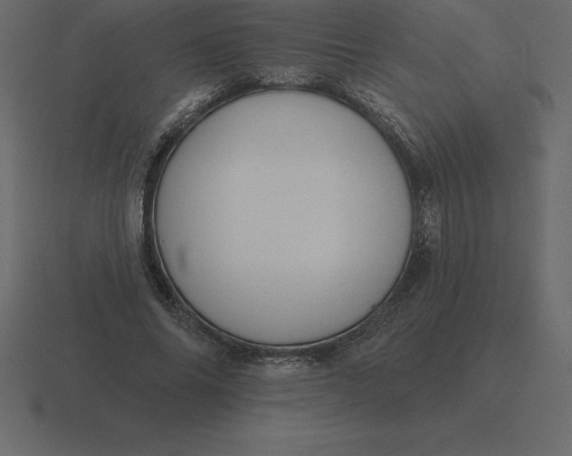 X0000116630686200912241813