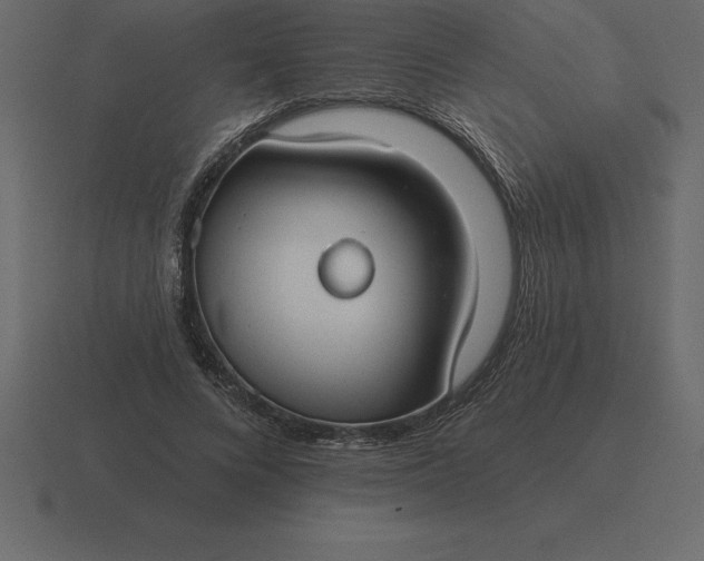 X0000116630688200912241813