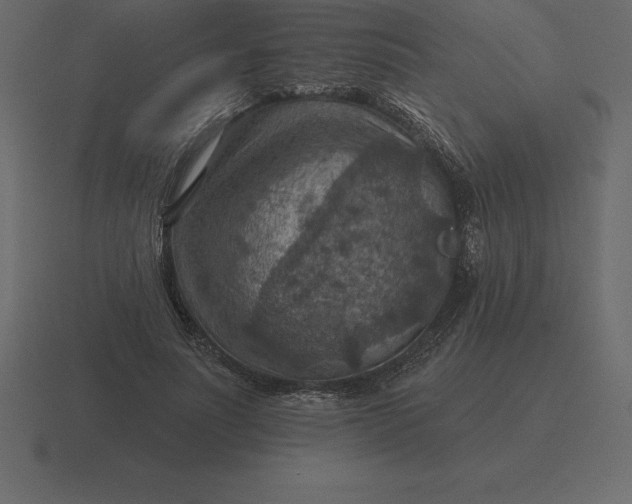 X0000116630691200912241813