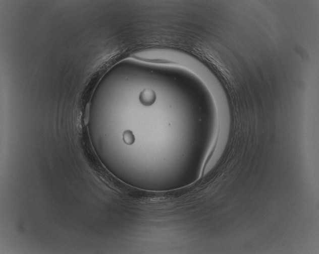 X0000116630692200912241813