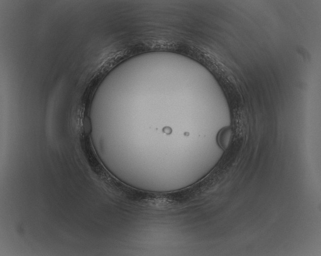 X0000116630695200912241812