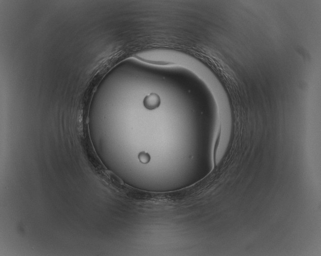 X0000116630696200912241812