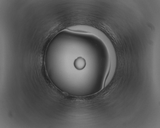 X0000116630697200912241812