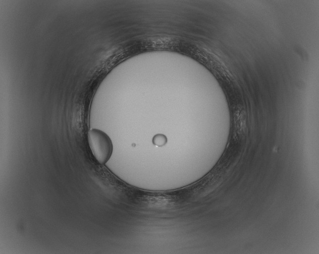 X0000116630698200912241812