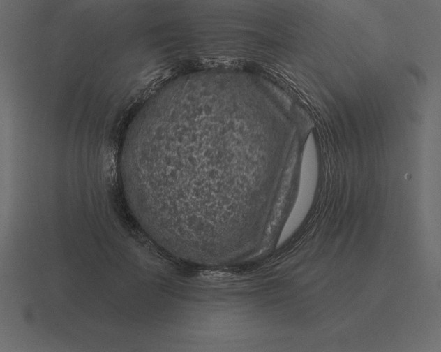 X0000116630699200912241812