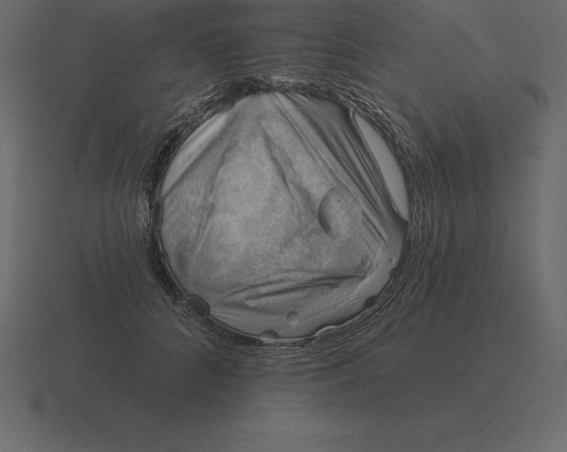 X0000116630704200912241812