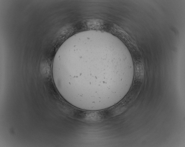 X0000116630705200912241812