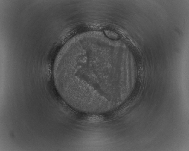 X0000116630707200912241812