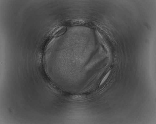 X0000116630708200912241812