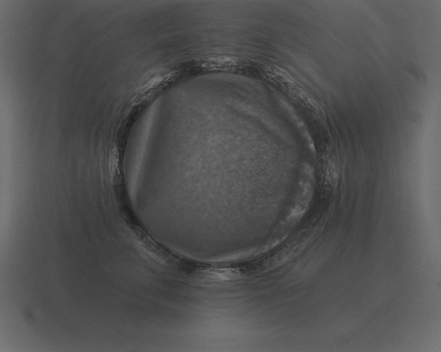 X0000116630711200912241812