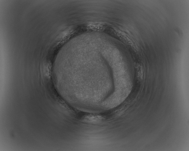 X0000116630712200912241812