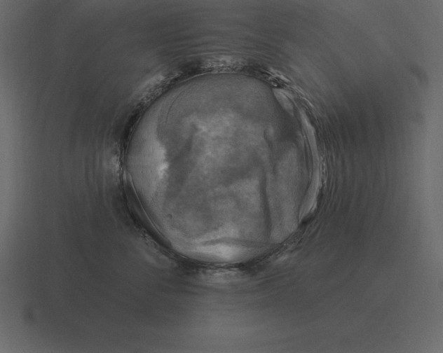 X0000116630716200912241812