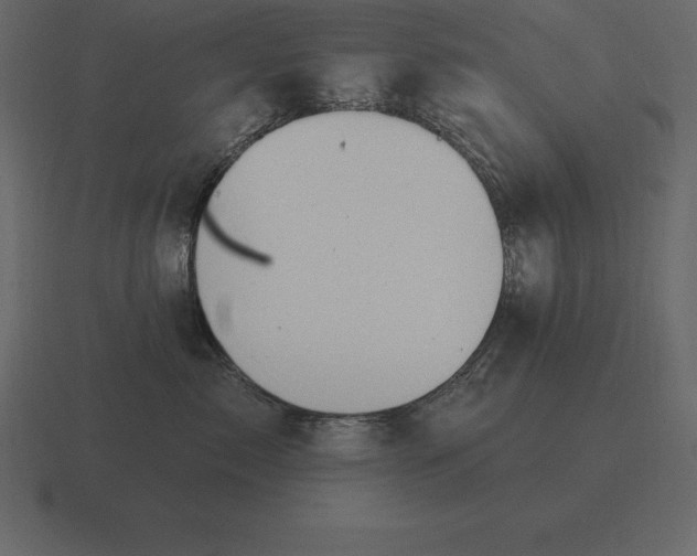 X0000116630717200912241812