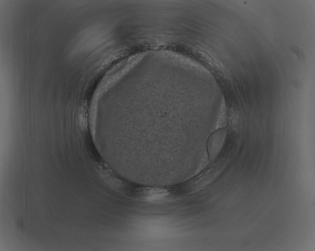 X0000116630719200912241812