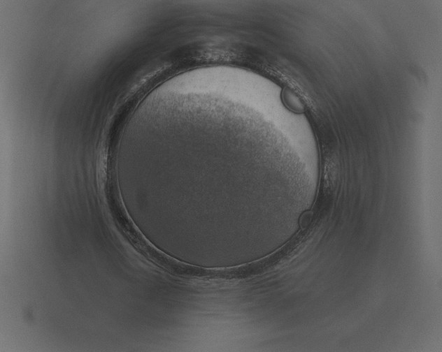 X0000116630722200912241812