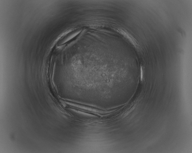 X0000116630723200912241812