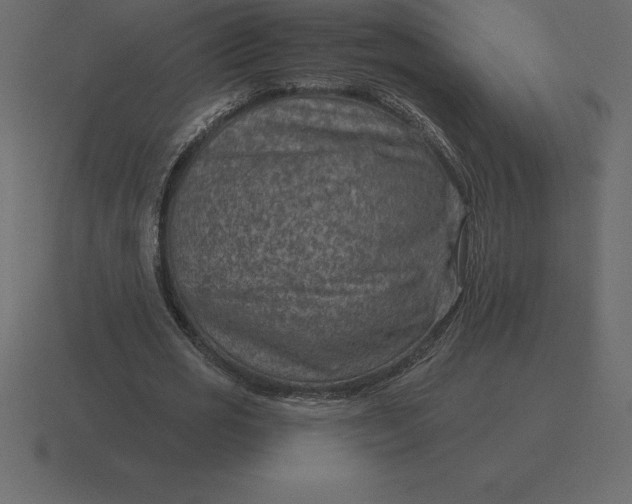 X0000116630725200912241812