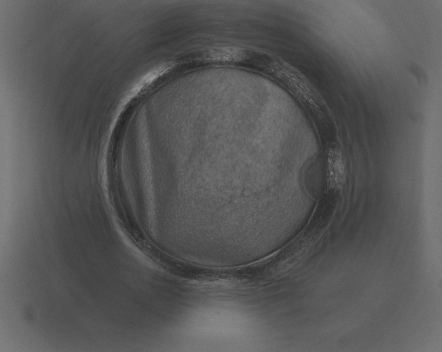 X0000116630726200912241812