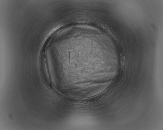 X0000116630727200912241812