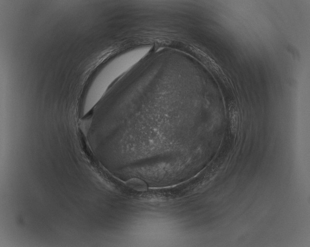 X0000116630729200912241812