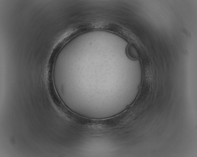 X0000116630730200912241812