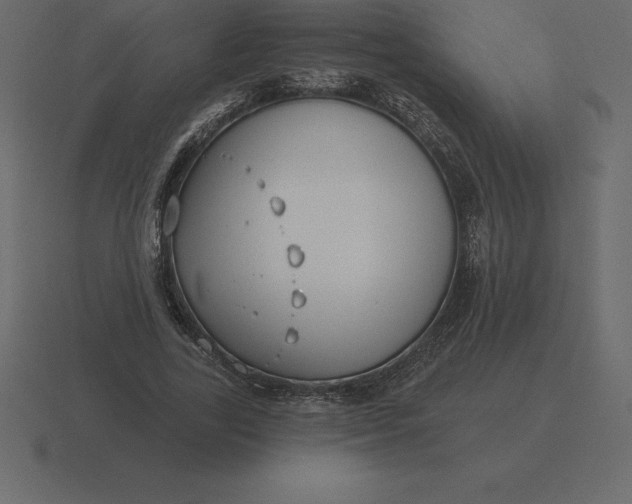 X0000116630731200912241812