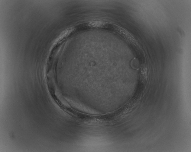 X0000116630734200912241812