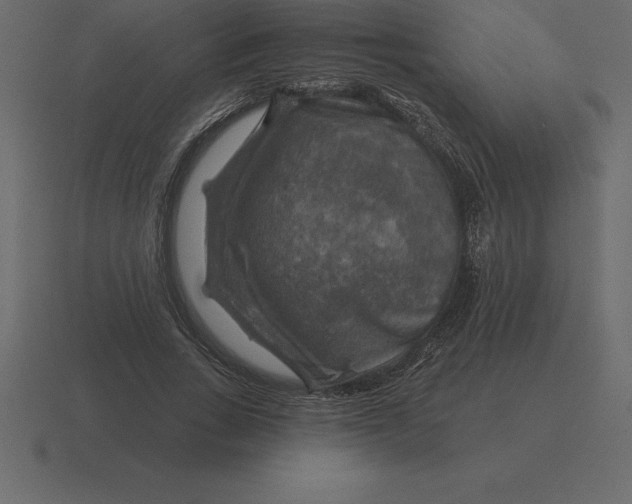 X0000116630735200912241812