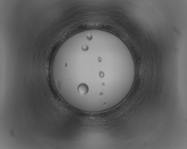 X0000116630737200912241812