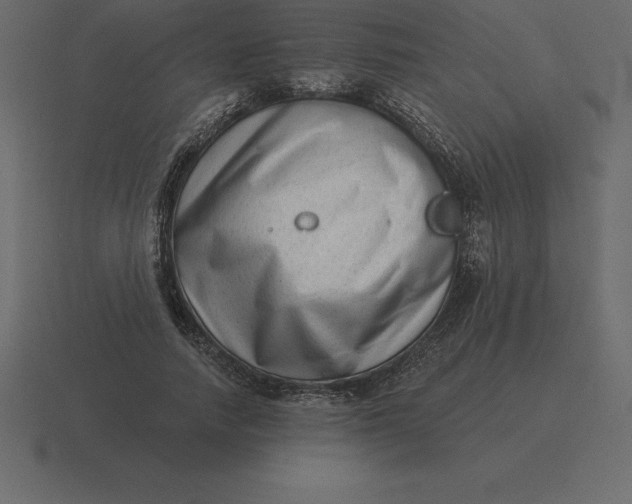 X0000116630738200912241812