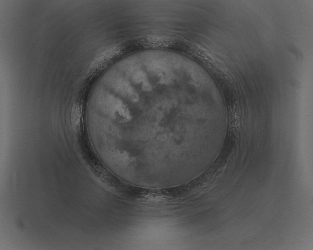 X0000116630742200912241812