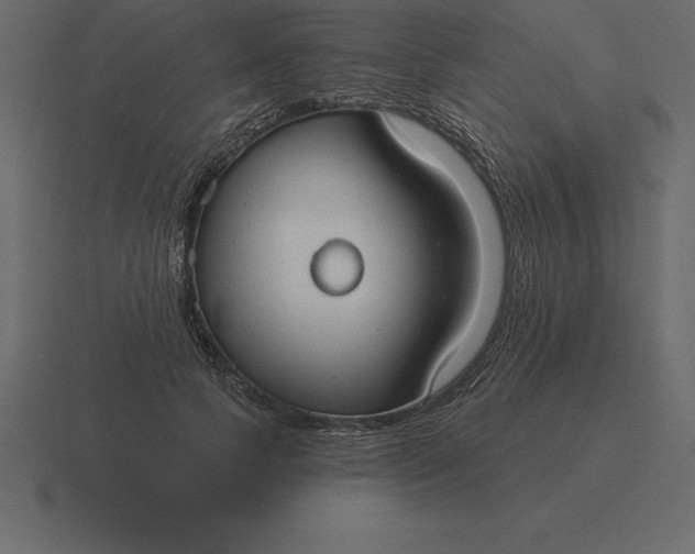 X0000116630745200912241812