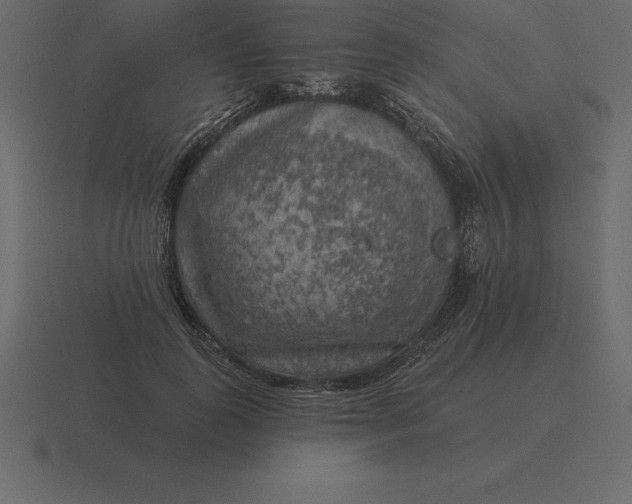 X0000116630747200912241812