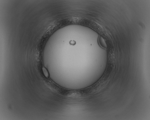 X0000116630750200912241812