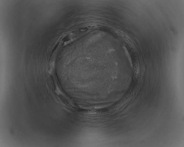 X0000116630759200912241812