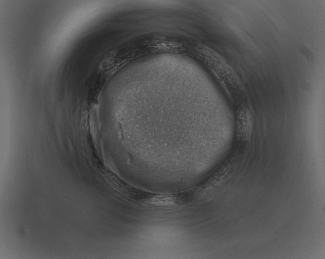 X0000116630762200912241812