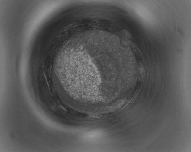 X0000116630765200912241812