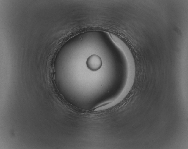 X0000116630769200912241812