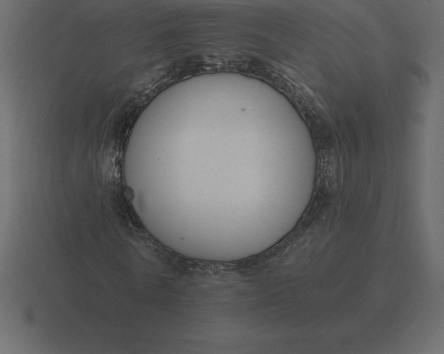 X0000116630770200912241812