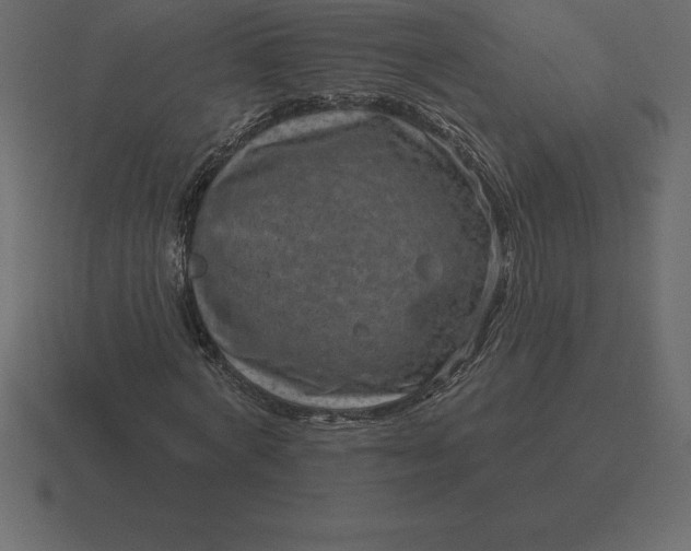 X0000116630772200912241811