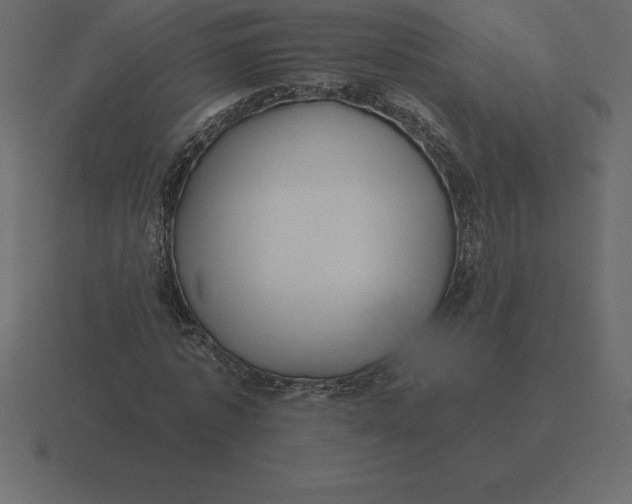 X0000116630773200912241811