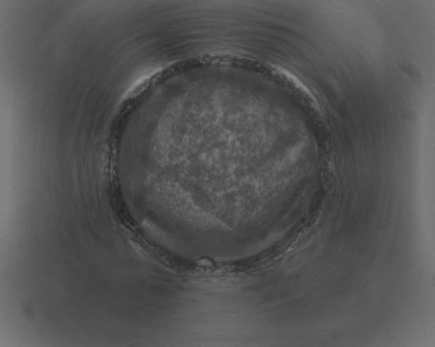 X0000116630775200912241811