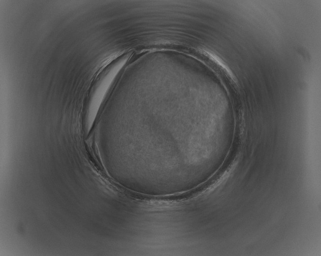 X0000116630777200912241811